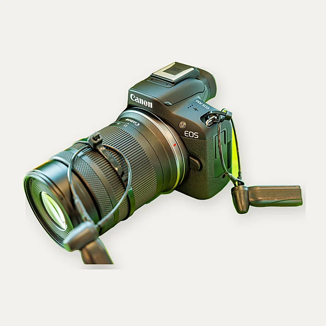 Canon EOS R50