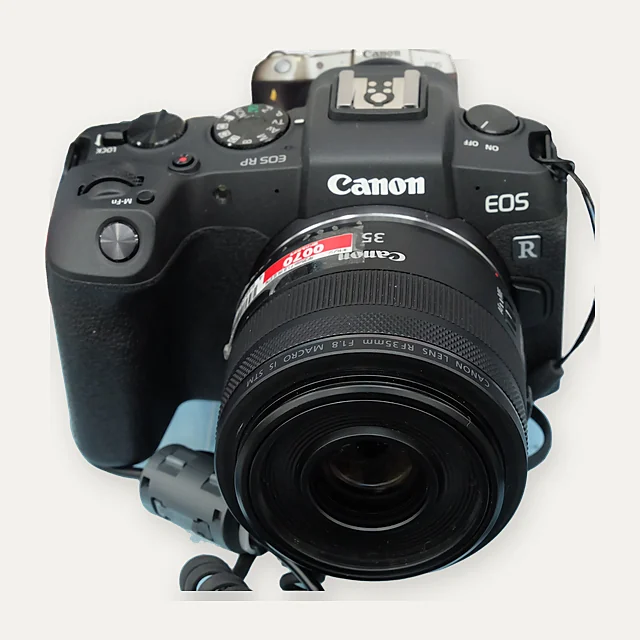 Canon EOS RP