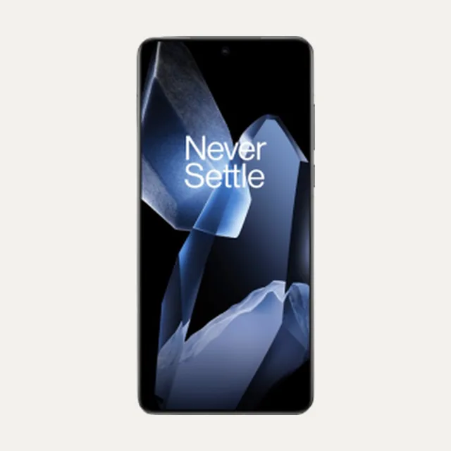 OnePlus 13