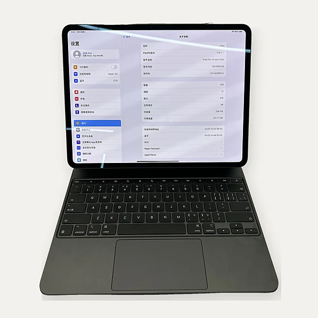 Apple iPad Pro 13 inch (M4)